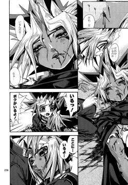 Page 255 of RE:WW4 AURORA Shirizu Sairoku-Shuu