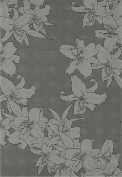 Page 11 of Hacking Facking