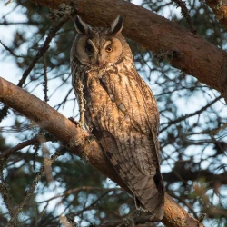 Page 21 of Hazure Yuusha no Kichiku Gedou