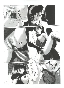 Page 29 of Tachibana Shoten Nan Demo-R ~ Ai to Yuuki to Yume to Mubou no Sairoku Hon