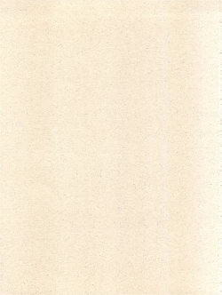 Page 35 of Konna ni Karakute Inca Teikoku Vol. 4