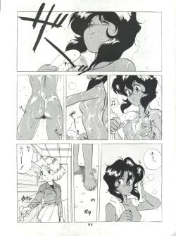 Page 84 of SAMPLE Vol. 4