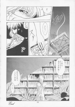 Page 21 of SEXCEED ver. 2.0