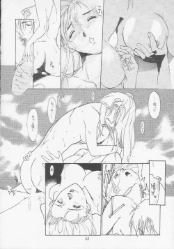 Page 41 of SEXCEED ver. 2.0