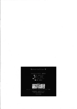 Page 21 of Materialize II