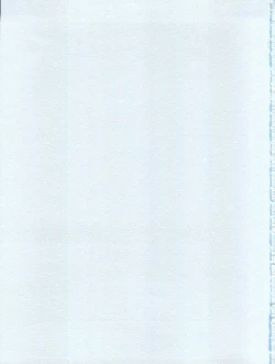 Page 19 of Omoikikiri Chijo Adventure