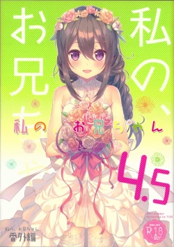 Page 1 of Watashi no, Onii-chan 4.5 Bangaihen