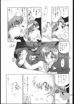 Page 14 of Submission Mercury Plus