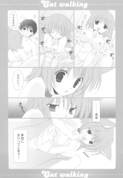 Page 10 of Cat walking