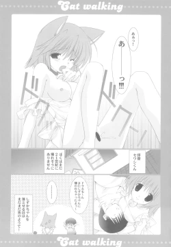 Page 11 of Cat walking