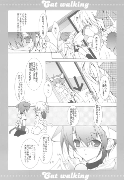 Page 13 of Cat walking