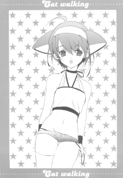 Page 2 of Cat walking