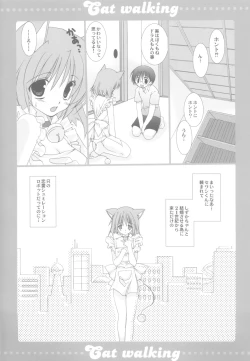 Page 8 of Cat walking