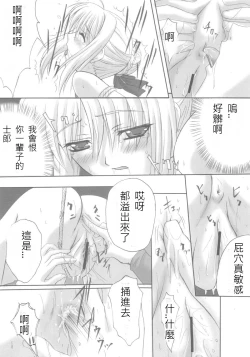 Page 81 of euphoria II+ ALLIANCE