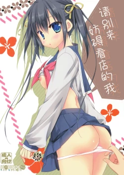 Page 2 of Miseban no Jama Shinaidekudasai!!