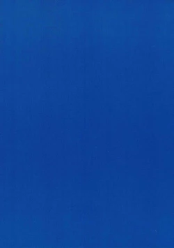 Page 17 of Bloomer Takao-chan!