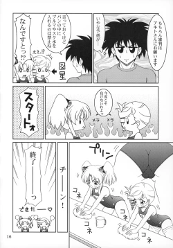 Page 17 of RURIMIX SP11