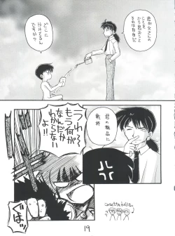 Page 19 of Shinseiki Evangelion Te Yuuka Omedetou Muumin