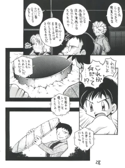 Page 28 of Shinseiki Evangelion Te Yuuka Omedetou Muumin