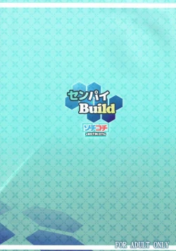 Page 14 of Senpai Build