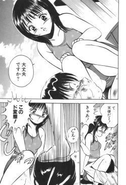 Page 23 of four season