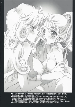 Page 3 of Lucca no Hikigane