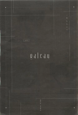 Page 338 of GATEAU 2015-04