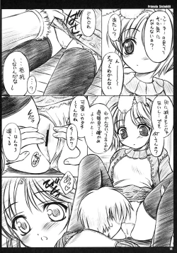 Page 13 of Primula Sieboldii