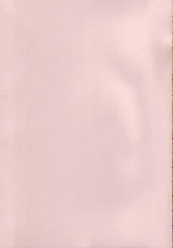 Page 2 of CAPTIVE 2+