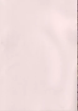 Page 47 of CAPTIVE 2+