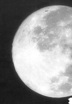 Page 10 of Remilia Ojou-sama no Bonnou