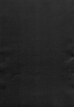 Page 20 of Remilia Ojou-sama no Bonnou