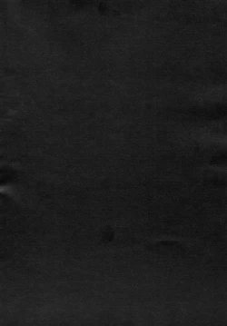 Page 47 of Remilia Ojou-sama no Bonnou