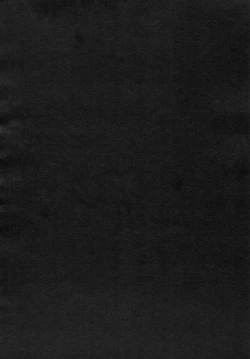 Page 55 of Remilia Ojou-sama no Bonnou