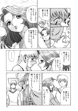 Page 15 of Hito ni Ienai Aidagara
