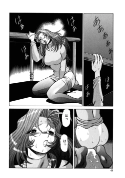 Page 47 of Hito ni Ienai Aidagara