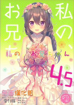 Download Watashi no, Onii-chan 4.5 Bangaihen