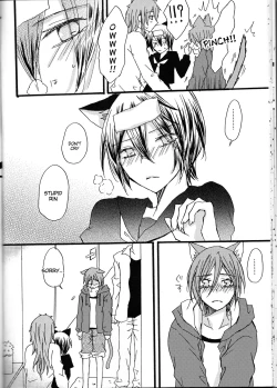 Page 21 of Nyan Nyan Biyori