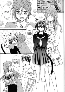 Page 4 of Nyan Nyan Biyori