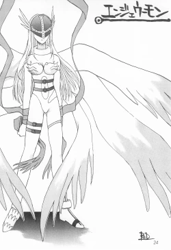 Page 24 of Akai Tambourine