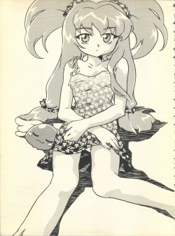 Page 4 of NEOER 2010