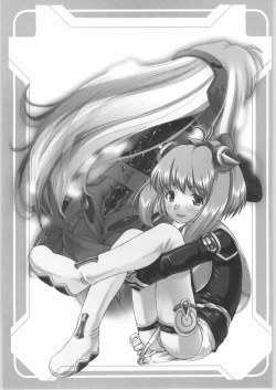 Page 2 of UltimaRatio