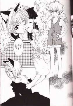 Page 10 of ミラクルシーフードケーキ