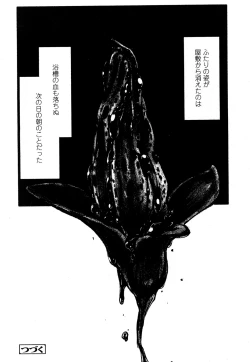 Page 383 of Towako San