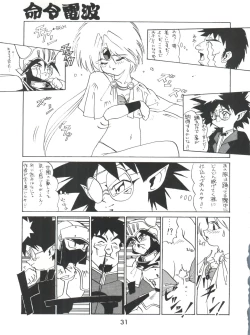 Page 31 of Meirei Denpa