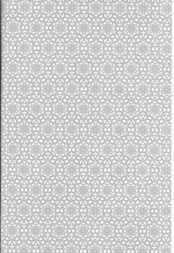 Page 13 of Kawai Anoko.