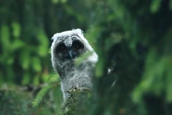 Page 222 of Noraneko Shoujo to no Kurashikata Ch. 4-13