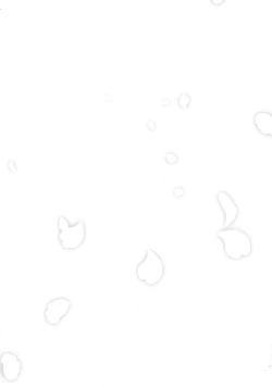 Page 42 of Dousei Hajimemashita 5