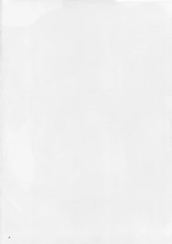 Page 4 of IRVING WALL