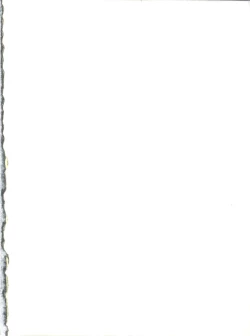 Page 2 of SAMPLE Vol. 8